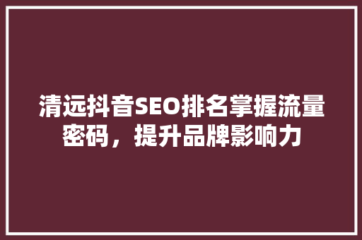 清远抖音SEO排名掌握流量密码，提升品牌影响力
