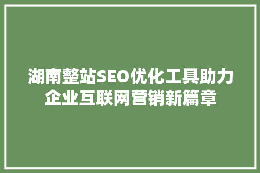 湖南整站SEO优化工具助力企业互联网营销新篇章
