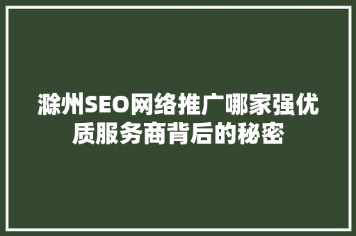 滁州SEO网络推广哪家强优质服务商背后的秘密