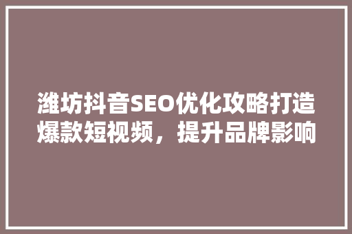 潍坊抖音SEO优化攻略打造爆款短视频，提升品牌影响力