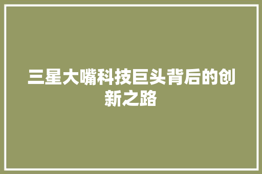 三星大嘴科技巨头背后的创新之路