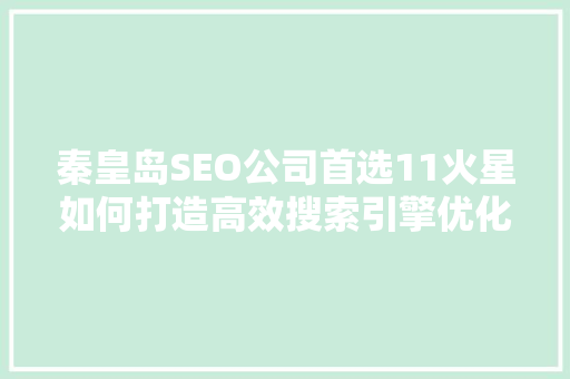 秦皇岛SEO公司首选11火星如何打造高效搜索引擎优化步骤