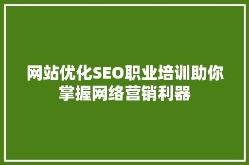 网站优化SEO职业培训助你掌握网络营销利器