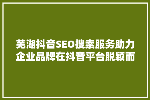 芜湖抖音SEO搜索服务助力企业品牌在抖音平台脱颖而出