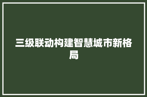 三级联动构建智慧城市新格局