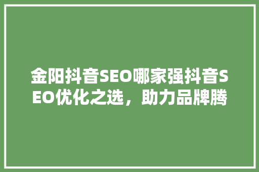 金阳抖音SEO哪家强抖音SEO优化之选，助力品牌腾飞