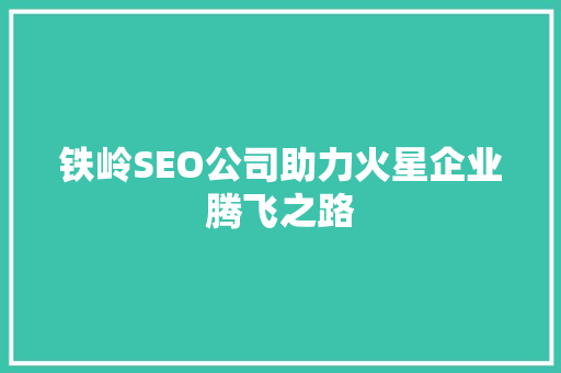 铁岭SEO公司助力火星企业腾飞之路