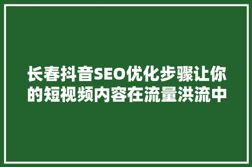 长春抖音SEO优化步骤让你的短视频内容在流量洪流中脱颖而出
