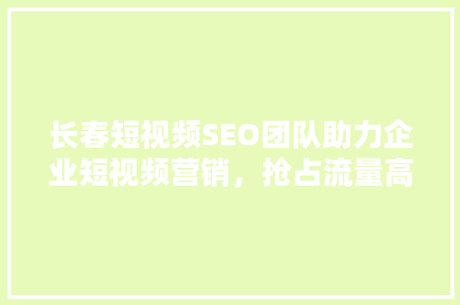 长春短视频SEO团队助力企业短视频营销，抢占流量高地