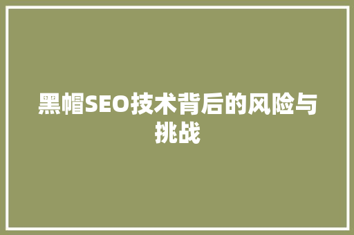 黑帽SEO技术背后的风险与挑战