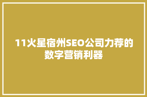11火星宿州SEO公司力荐的数字营销利器