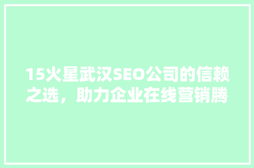 15火星武汉SEO公司的信赖之选，助力企业在线营销腾飞