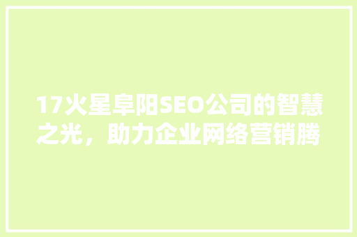17火星阜阳SEO公司的智慧之光，助力企业网络营销腾飞
