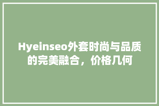 Hyeinseo外套时尚与品质的完美融合，价格几何