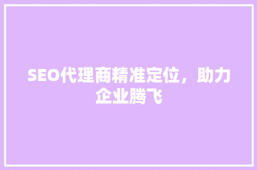 SEO代理商精准定位，助力企业腾飞