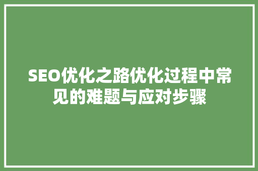 SEO优化之路优化过程中常见的难题与应对步骤