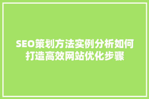 SEO策划方法实例分析如何打造高效网站优化步骤