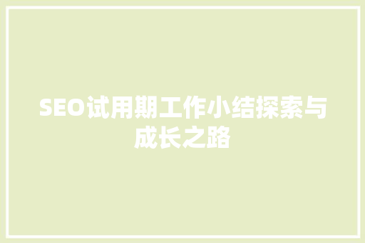 SEO试用期工作小结探索与成长之路