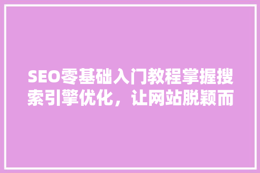 SEO零基础入门教程掌握搜索引擎优化，让网站脱颖而出