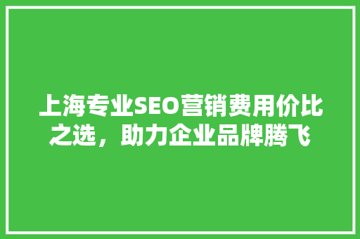 上海专业SEO营销费用价比之选，助力企业品牌腾飞