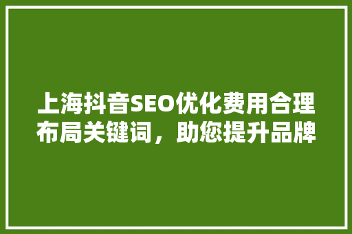 上海抖音SEO优化费用合理布局关键词，助您提升品牌影响力