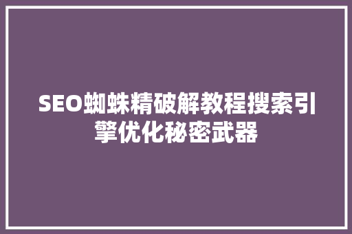 SEO蜘蛛精破解教程搜索引擎优化秘密武器