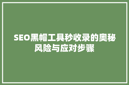 SEO黑帽工具秒收录的奥秘风险与应对步骤