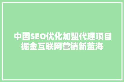 中国SEO优化加盟代理项目掘金互联网营销新蓝海