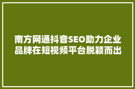 南方网通抖音SEO助力企业品牌在短视频平台脱颖而出