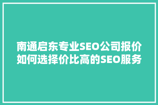南通启东专业SEO公司报价如何选择价比高的SEO服务