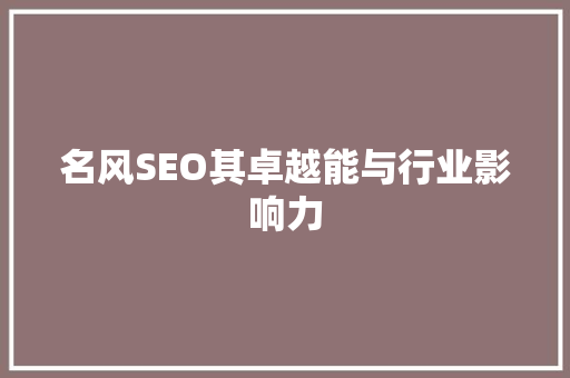 名风SEO其卓越能与行业影响力