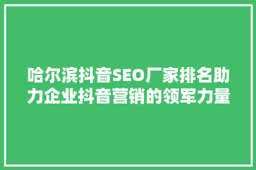 哈尔滨抖音SEO厂家排名助力企业抖音营销的领军力量