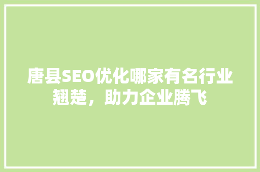 唐县SEO优化哪家有名行业翘楚，助力企业腾飞
