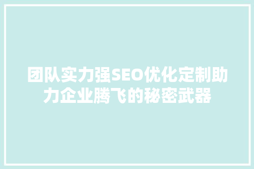 团队实力强SEO优化定制助力企业腾飞的秘密武器