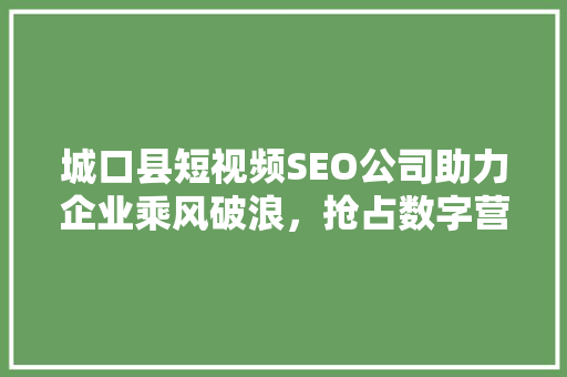 城口县短视频SEO公司助力企业乘风破浪，抢占数字营销高地