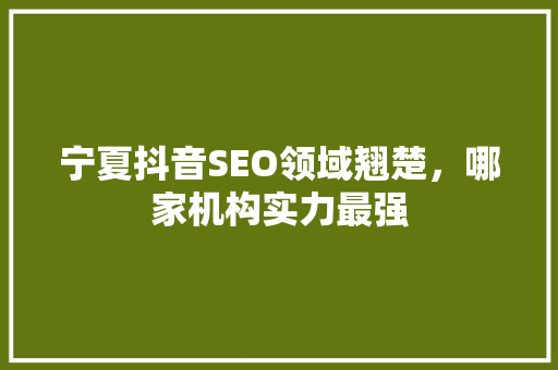 宁夏抖音SEO领域翘楚，哪家机构实力最强