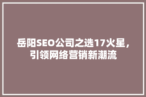 岳阳SEO公司之选17火星，引领网络营销新潮流