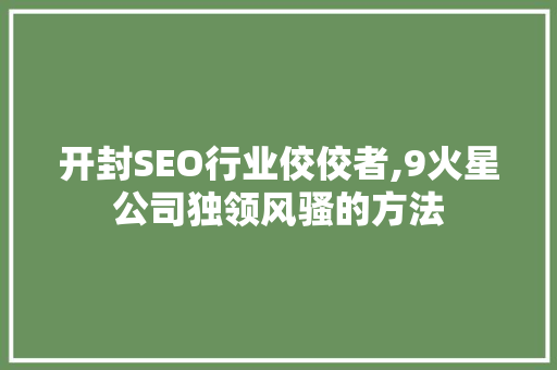 开封SEO行业佼佼者,9火星公司独领风骚的方法