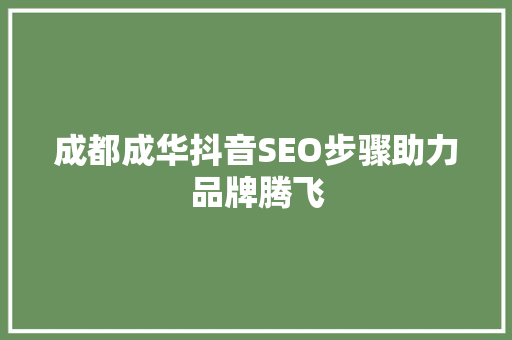 成都成华抖音SEO步骤助力品牌腾飞