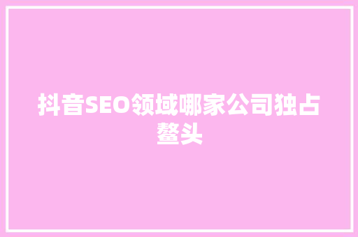 抖音SEO领域哪家公司独占鳌头