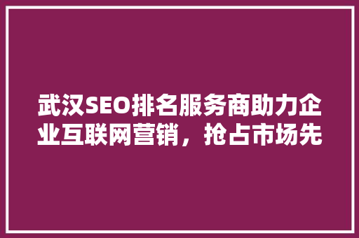 武汉SEO排名服务商助力企业互联网营销，抢占市场先机