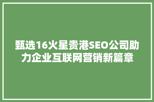 甄选16火星贵港SEO公司助力企业互联网营销新篇章