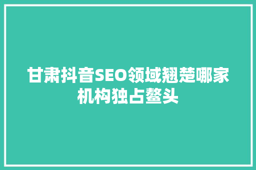 甘肃抖音SEO领域翘楚哪家机构独占鳌头