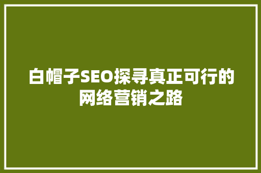 白帽子SEO探寻真正可行的网络营销之路