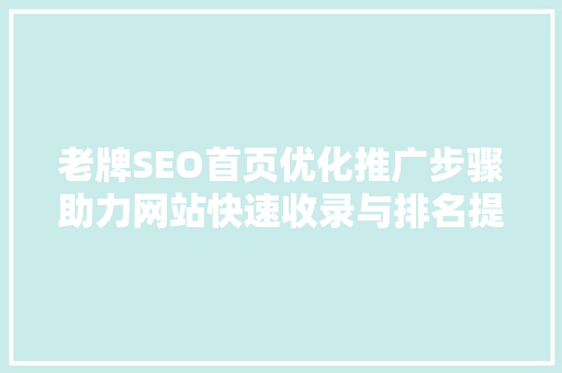 老牌SEO首页优化推广步骤助力网站快速收录与排名提升