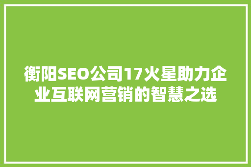 衡阳SEO公司17火星助力企业互联网营销的智慧之选