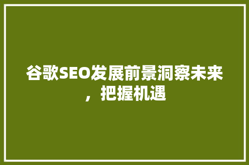 谷歌SEO发展前景洞察未来，把握机遇