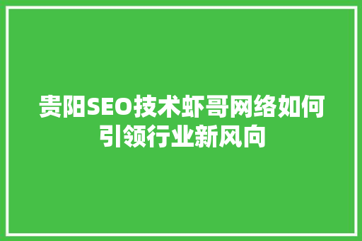 贵阳SEO技术虾哥网络如何引领行业新风向