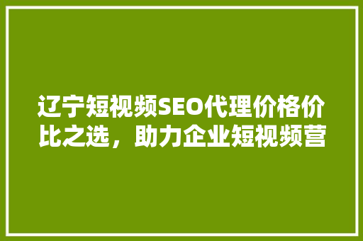 辽宁短视频SEO代理价格价比之选，助力企业短视频营销