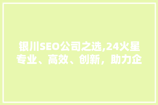 银川SEO公司之选,24火星专业、高效、创新，助力企业网络营销腾飞